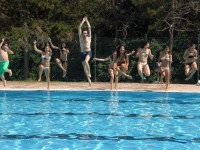 ACTIVITIES (14)